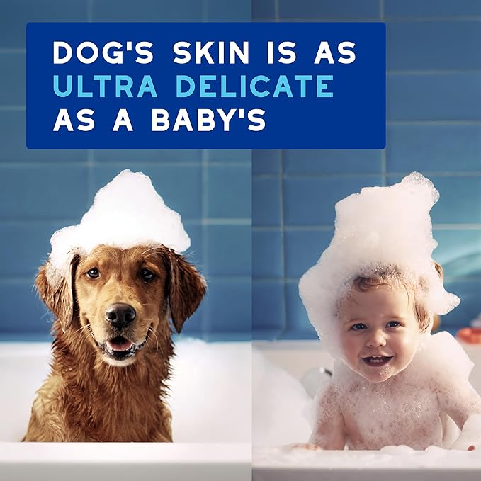 DOUXO® Skin &amp; Coat SPA - Ultra-Safe Quick Refresh Leave-on Mousse for Dogs, 10 fl oz, Safely Cleans and Refreshes, Leaves The Coat Soft, Radiant and Smelling Great, Skin-Friendly Formula