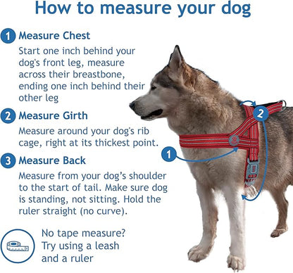 DOCO No-Pull Dog Harness Halter Reflective Easy-Control Harness for Training, Walking, and Preventing Pulling, Ideal for Medium Dogs(Red)