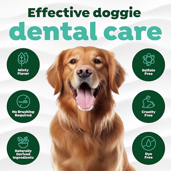 TropiClean Oral Care Brushing Gel for Dogs &amp; Cats| Dog Toothpaste | Pet Dental Gel | Dog Teeth Cleaning Use with Pet Toothbrush | 2 oz