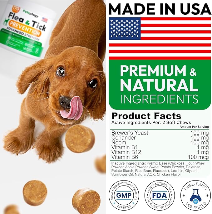 (2 Pack) Flea and Tick Prevention for Dogs Pills - 340 Chews - Natural Dog Flea &amp; Tick Control - Oral Defense Treatment for Dogs Supplement - Vet Formulated - All Breeds &amp; Ages - Made in USA