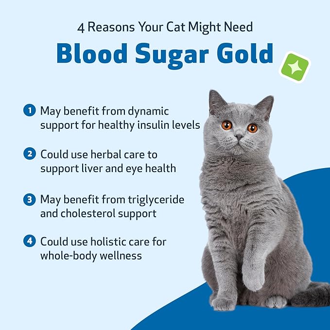 Pet Wellbeing Blood Sugar Gold for Cats - Healthy Blood Sugar Levels, Pancreas &amp; Liver Function, Devil’s Club, Gymnema - Veterinarian-Formulated Herbal Supplement 4 oz (118 ml)