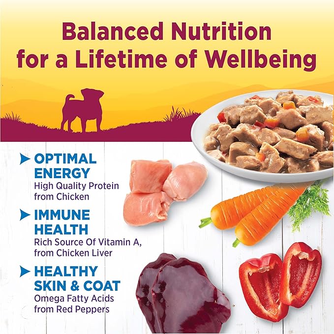 Wellness Petite Entrees Mini Fillets Grain Free Natural Wet Small Breed Dog Food, Roasted Chicken, Carrots &amp; Red Peppers, 3-Ounce Cup (Pack of 24)