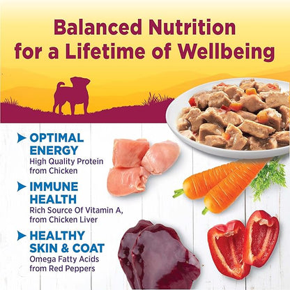 Wellness Petite Entrees Mini Fillets Grain Free Natural Wet Small Breed Dog Food, Roasted Chicken, Carrots &amp; Red Peppers, 3-Ounce Cup (Pack of 24)