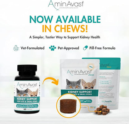 AminAvast Small Dogs &amp; Cat Kidney Support - Promotes Healthy Kidney Support in Cats &amp; Small Dogs - 300mg, 60 Capsule