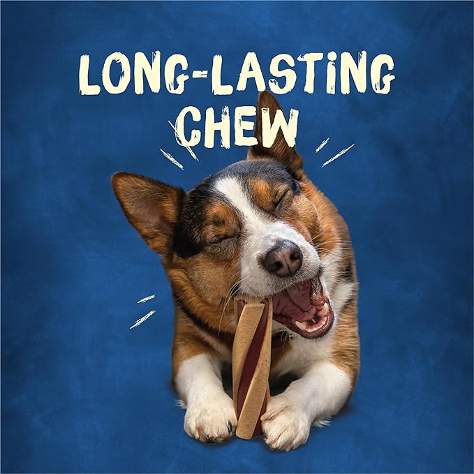 Purina Busy With Beggin&