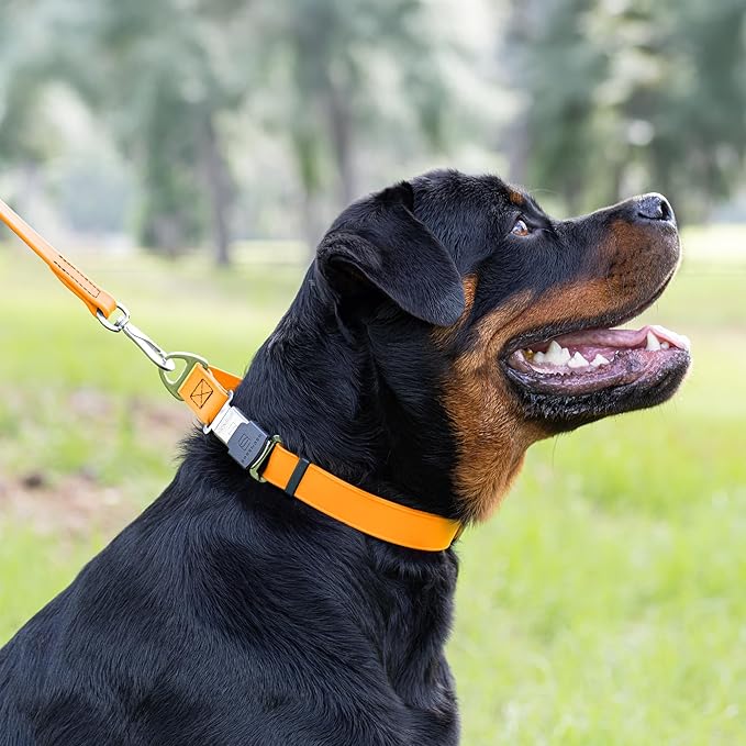 Dogline Biothane Waterproof Dog Collar with Herm Sprenger Black Stainless Steel Quick Release Buckle – Heavy Duty Tactical Durable Collar for Dogs – Comfortable Pet Collar W3/4" L12-19 Tangerine