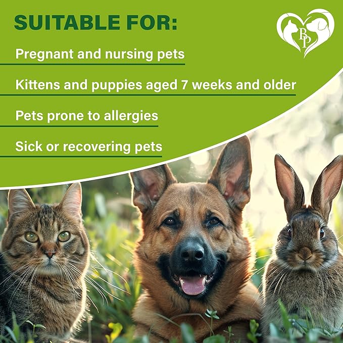 Flea and Tick Prevention for Small Dogs &amp; Cats, Rabbits - Natural Flea Treatment &amp; Pest Control - Topical Flea &amp; Mosquito Repellent for Puppy and Kitten - All Pets