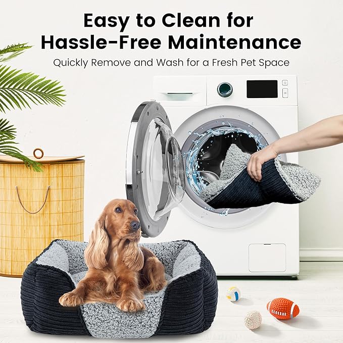Miguel Washable Dog &amp; Cat Bed with Removable Cushion for Medium &amp; Small Dogs, Easy to Wash Pet Sofa Bed with Side Bolster, Anti-Slip Bottom, Black, 30 Inch