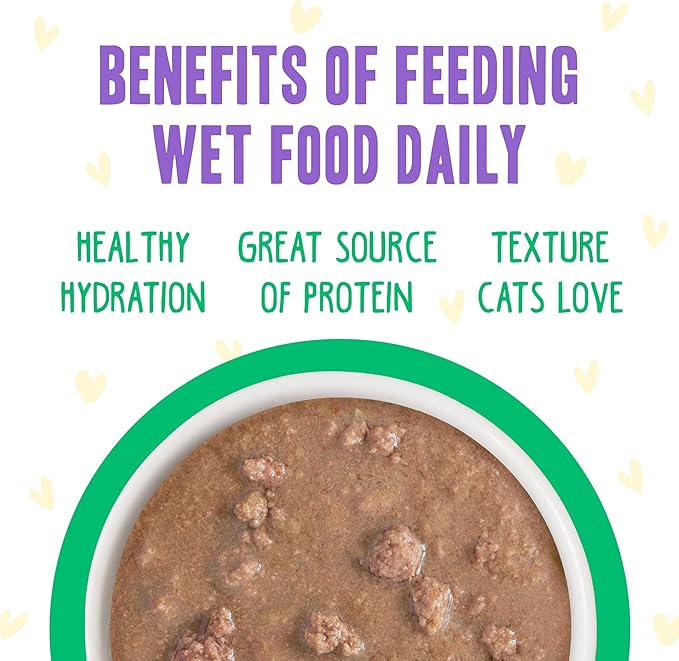 Weruva B.F.F. OMG - Best Feline Friend Oh My Gravy!, Chicken &amp; Turkey Text Me with Chicken &amp; Turkey in Gravy, 2.8oz Pouch (Pack of 12)
