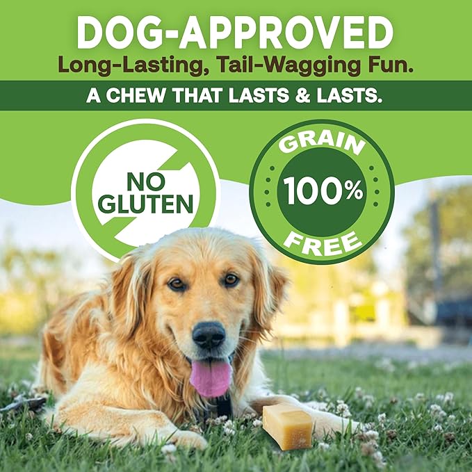 Ecokind Himalayan Chews, Healthy Treats, Odorless, Rawhide Free, Long Lasting Dog Bones for Aggressive Chewers, Indoors &amp; Outdoor Use, Made in The Himalayas, Large (Pack of 20)