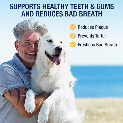 ProDen PlaqueOff Powder for Pets - Cat &amp; Dog Breath Freshener - Plaque &amp; Tartar Remover for Pet Oral Care - 180g