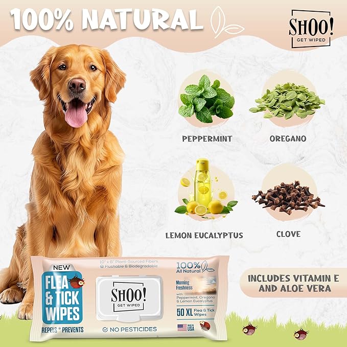 Shoo! Flea &amp; Tick Wipes for Dogs | Convenient, Easy On-The-Go Protection | Plant Based, Natural Oils, Chemical Free | Repels &amp; Prevents | 50 XL Wipes | (Morning Freshness)