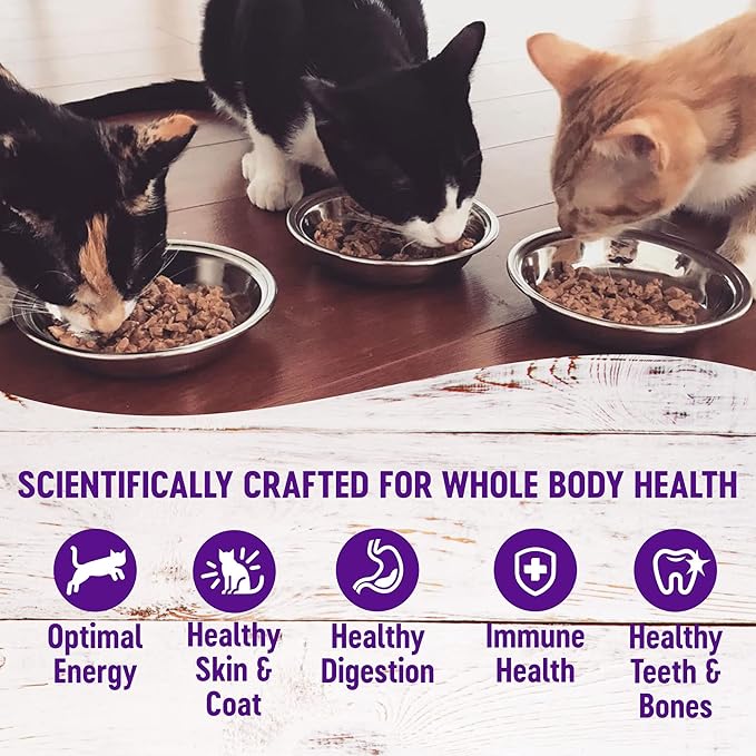 Wellness Healthly Indulgence Morsels Adult Wet Cat Food, Natural, Protein-Rich, Grain-Free, 3 Ounce Pouch, 24 Pack, (Chicken &amp; Chicken Liver)