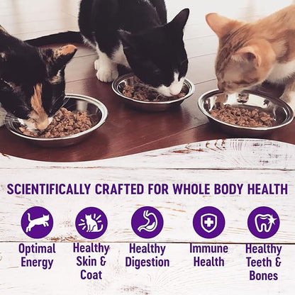 Wellness Healthy Indulgence Shreds Adult Wet Cat Food, Natural, Protein-Rich, Grain Free, 3 Ounce Pouch, 8 Pack, (Shreds Variety Pack)