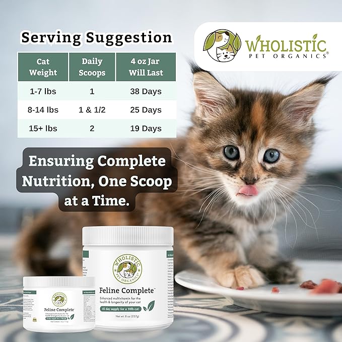 Wholistic Pet Organics Feline Complete - 4 Oz - Multivitamin &amp; Probiotic Powder for Cats - Natural Cat Food &amp; Digestive Support