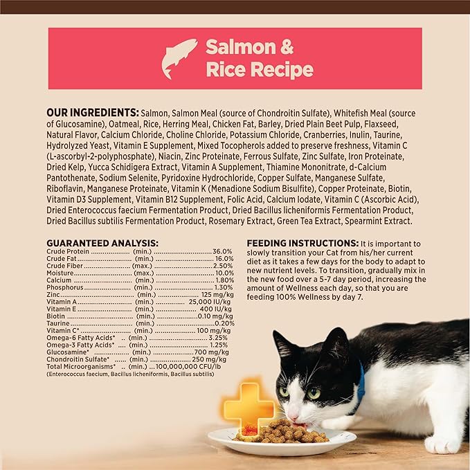 Wellness CORE+ Adult Dry Cat Food for Indoor and Outdoor Cats, Wholesome Grains, Natural, Digestive Health Salmon &amp; Rice (11 Pound Bag)