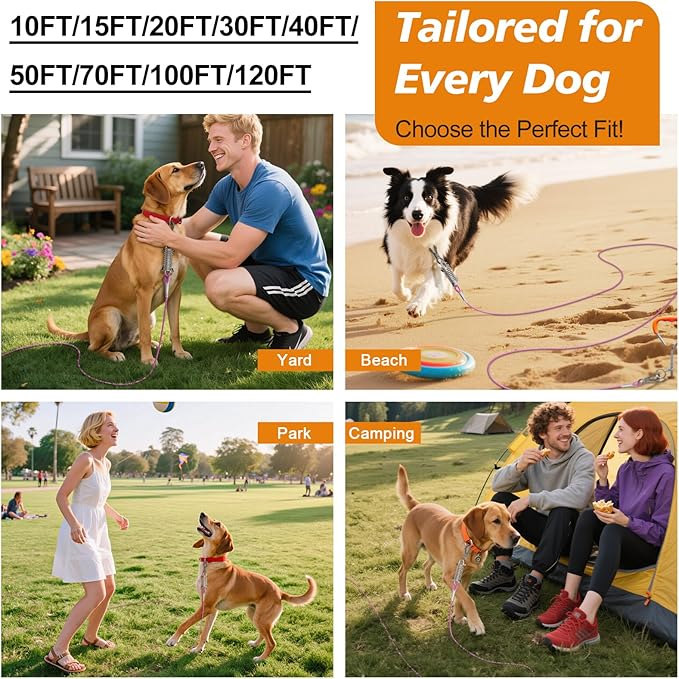 Tresbro 40 FT Dog Tie Out Cable with Spring, Shock Absorbing Tether Chains for Outside Aavilable in 10/15/20/25/30/40/50/70/100/120 FT, Heavy Duty Leads for Yard for Medium &amp; Large Dogs Up to 500 LBS