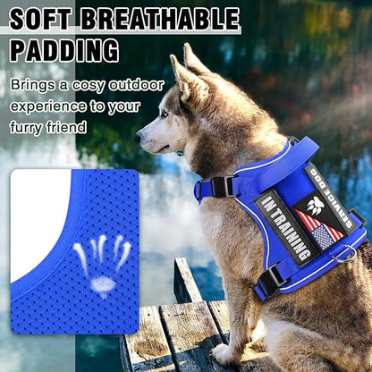 WINSEE Service Dog in Training Harness with 5 PCS Patches, Reflective Tactical Dog Vest Harness, Adjustable Soft Oxford Pet Harness with Easy Control Handle, Hook &amp; Loop Panels for Walking Hiking