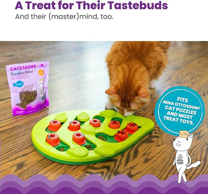 Catstages by Nina Ottosson Purrfect Bitez Natural Crunchy Cat Treats for Puzzles, Toys, Feeders, &amp; Training, USA-Made, Real Whitefish Flavor, 4oz (Pack of 2)