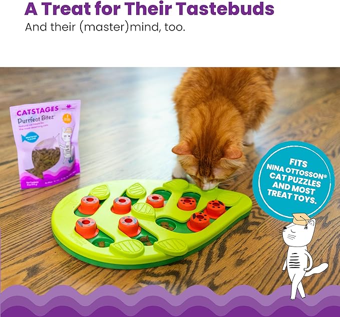 Catstages by Nina Ottosson Purrfect Bitez Natural Crunchy Cat Treats for Puzzles, Toys, Feeders, &amp; Training, USA-Made, Real Whitefish Flavor, 4oz