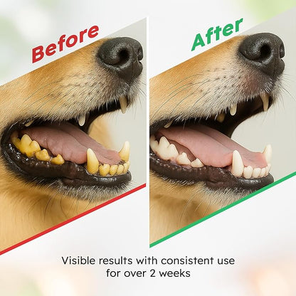 Dog Teeth Cleaning Powder - Dog Breath Freshener + Dental Care for Doggies &amp; Cats + Tartar Remover for Teeth with Natural Ingredients + Probiotics Blend (Mint - 100g)