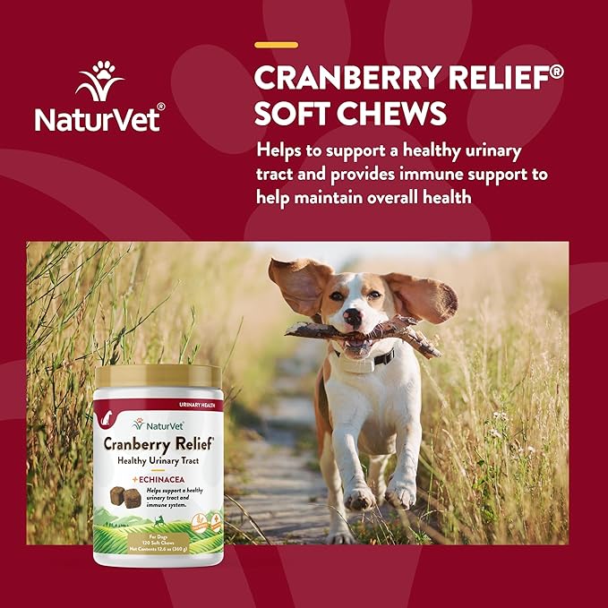 NaturVet – Cranberry Relief Plus Echinacea – Helps Support a Healthy Urinary Tract &amp; Immune System – 120 Soft Chews