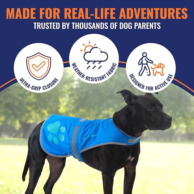 Dog Reflective Vest – Hi-Vis Fluorescent Visibility That Helps to Safeguard Your Pet On/Off Leash in Urban &amp; Rural Areas (Blue, X-Small)