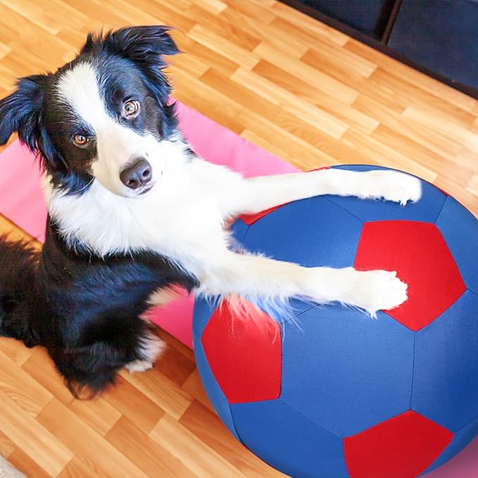 Herding Ball for Dogs &amp; Horses - 20" Ball with Hand Pump - Blue &amp; Red
