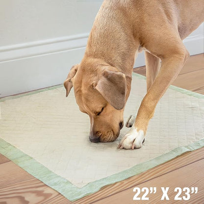 Four Paws Wee-Wee Superior Performance Bamboo Pee Pads for Dogs, Earth Friendly Dog &amp; Puppy Potty Training Pads, Crate Liners, Housebreaking Supplies, 22" x 23" (32 Count)