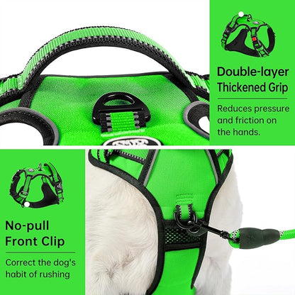 IVY&amp;LANE No Pull Dog Harness for Small Dogs, Dog Vest Harness with Leash, Safety Belt and Storage Strap, Fully Adjustable Harness, 360° Reflective Strip, Soft Handle (Green,S)