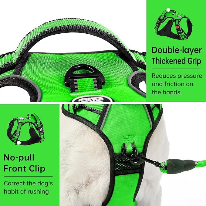 IVY&amp;LANE No Pull Dog Harness for Medium Dogs, Dog Vest Harness with Leash, Safety Belt and Storage Strap, Fully Adjustable Harness, 360° Reflective Strip, Soft Handle (Green,M)