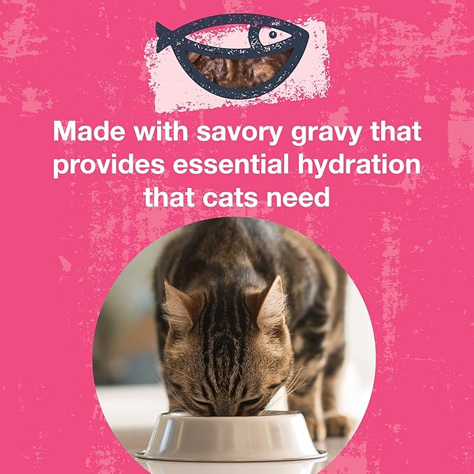 KOHA Poké Bowl Tuna &amp; Shrimp Entree in Gravy for Cats, 12-Pack of 3oz Pouches