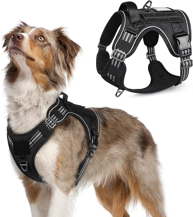 rabbitgoo Dog Harness No Pull, Military Dog Harness Medium Sized Dog with Handle &amp; Molle, Easy Control Service Dog Vest Harness Training Walking, Adjustable Reflective Tactical Pet Harness, Black, M