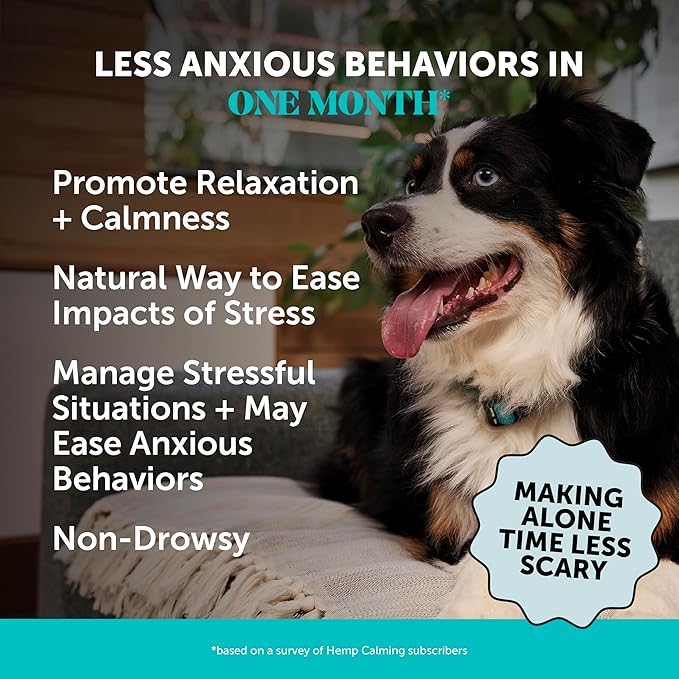 Natural Hemp Calming Chews for Dogs - Dog Anxiety Relief - Calming Aid Supplement with Valerian Root, Chamomile, + Magnesium - Stress, Separation &amp; Thunder Support - (Beef Liver, 90 Count)