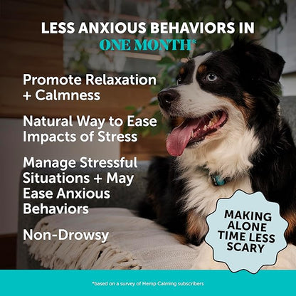 Natural Hemp Calming Chews for Dogs - Dog Anxiety Relief - Calming Aid Supplement with Valerian Root, Chamomile, + Magnesium - Stress, Separation &amp; Thunder Support - (Beef Liver, 90 Count)
