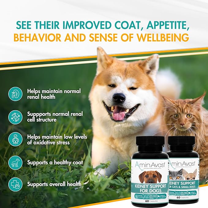 AminAvast Small Dogs &amp; Cat Kidney Support - Promotes Healthy Kidney Support in Cats &amp; Small Dogs - 300mg, 60 Capsule