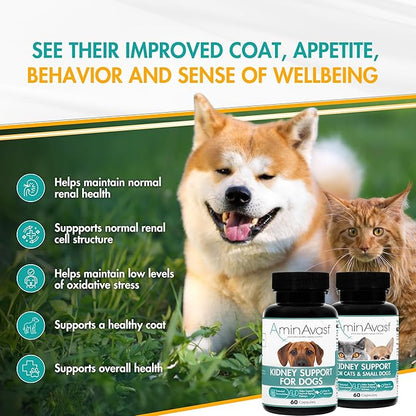 AminAvast Small Dogs &amp; Cat Kidney Support - Promotes Healthy Kidney Support in Cats &amp; Small Dogs - 300mg, 60 Capsule