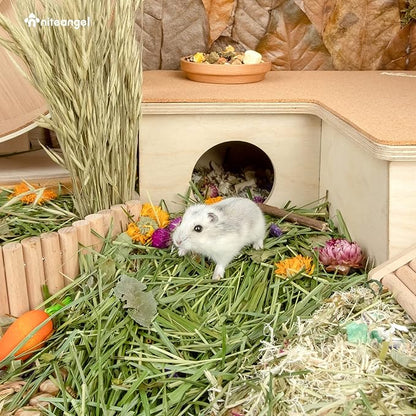 Niteangel Natural &amp; Soft Hamster Bedding Mate Small Animal Habitat Decor for Syrian Dwarf Hamsters Gerbils Mice Degus Bunny or Other Small-Sized Pet