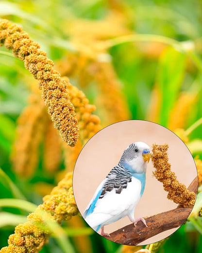 Niteangel Natural &amp; Soft Hamster Bedding Mate Small Animal Habitat Decor for Syrian Dwarf Hamsters Gerbils Mice Degus Bunny or Other Small-Sized Pet