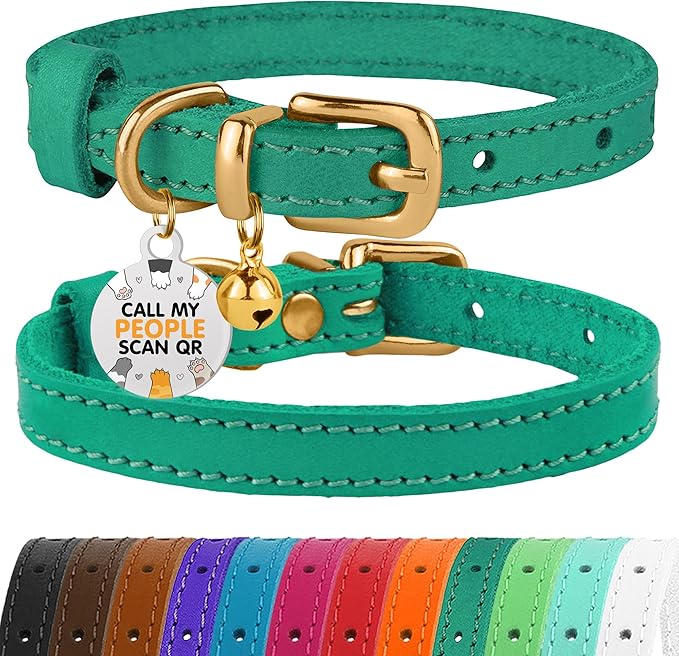 BRONZEDOG Leather Cat Collar with Removable Bells Non Breakaway Kitten QR Tag for Girl Boy (9" - 12" Cats/Mini Dogs, Green &amp; Gold)