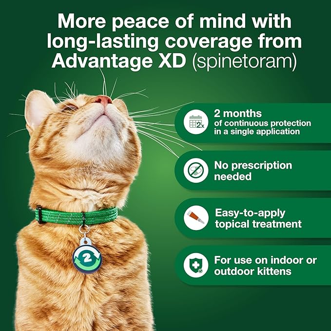 Advantage XD Small Cat Flea Prevention &amp; Treatment For Cats 1.8-9lbs. | 2-Topical Doses, 2-Months of Protection Per Dose
