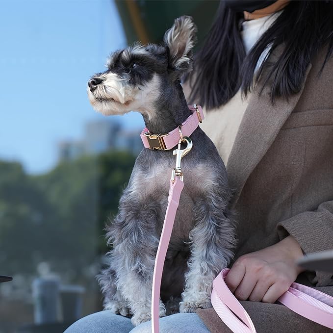 PET ARTIST Soft PU Leather Dog Collar, Bright &amp; Classic Pink Dog Collar with Quick Release Rose Metal Buckle, Adjustable Nylon Padded Durable Pet Collars for Small Dogs Girl, Neck Fit 9-14"