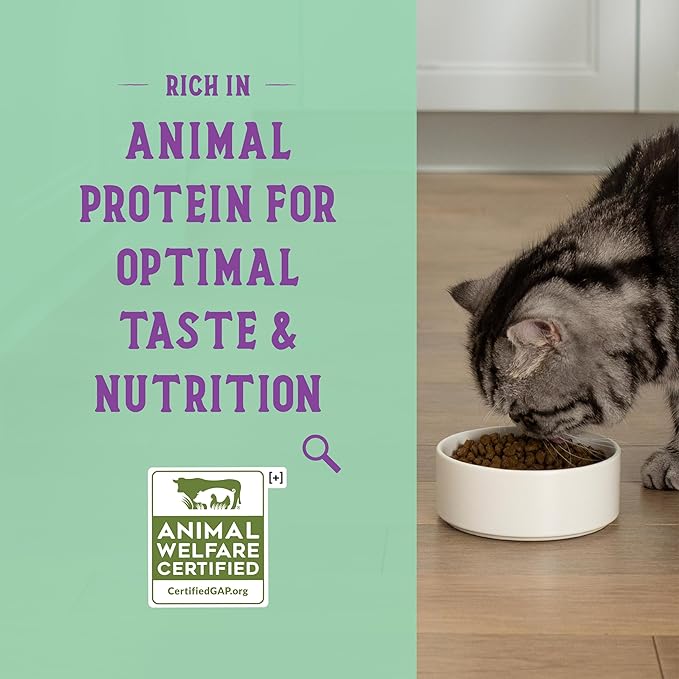 Open Farm Goodbowl, Protein Rich Dry Cat Food Made from Meticulously Sourced Simple Ingredients, Harvest Chicken &amp; Brown Rice Recipe, 7lb Bag (112oz Bag)