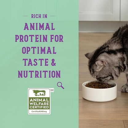 Open Farm Goodbowl, Protein Rich Dry Cat Food Made from Meticulously Sourced Simple Ingredients, Harvest Chicken &amp; Brown Rice Recipe, 7lb Bag (112oz Bag)