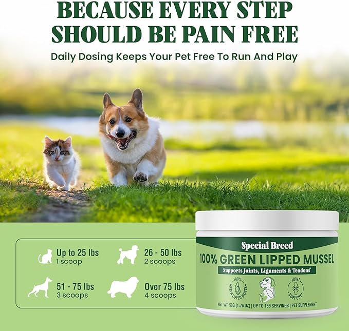 Green Lipped Mussel Powder for Dogs &amp; Cats - 100% New Zealand Green Lipped Mussels - Natural Hip &amp; Joint Supplement for Joints, Tendons, Ligaments, Muscles - 50 Grams - Up to 166 Servings