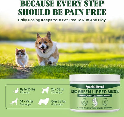 Green Lipped Mussel Powder for Dogs &amp; Cats - 100% New Zealand Green Lipped Mussels - Natural Hip &amp; Joint Supplement for Joints, Tendons, Ligaments, Muscles - 50 Grams - Up to 166 Servings