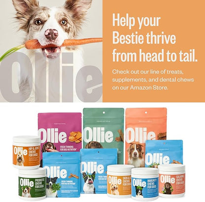 Ollie Dog Skin &amp; Coat Supplement, Soothes Irritated Skin, Promotes Healthy &amp; Shiny Fur &amp; Coat, 60 Count Appx.