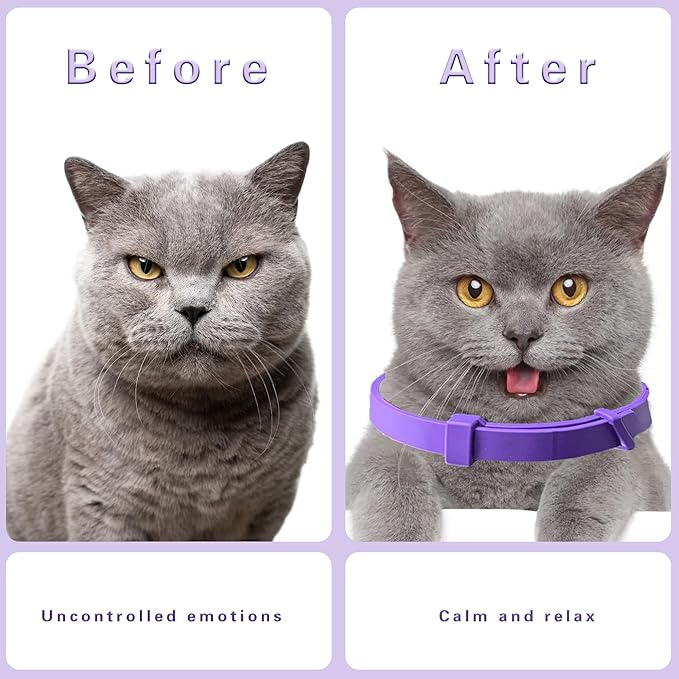 Simnice Calming Collar for Cats - 4 Pack, Cat Calming Collar, Adjustable Cat Pheromone Collars for Anxiety &amp; Stress Relief, Efficient and Comfort (Purple)