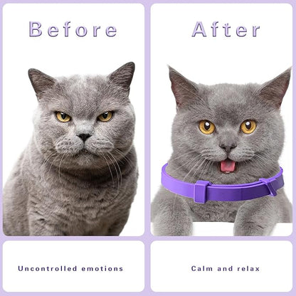 Simnice Calming Collar for Cats - 4 Pack, Cat Calming Collar, Adjustable Cat Pheromone Collars for Anxiety &amp; Stress Relief, Efficient and Comfort (Purple)