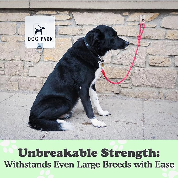 Canine Hitch- Secure Dog Leash Parking Mounted Indoor – Outdoor Wall Hook - Tie Out Stainless Steel Practical Lead Management for Home &amp; Business, Standard Size 6 Pack